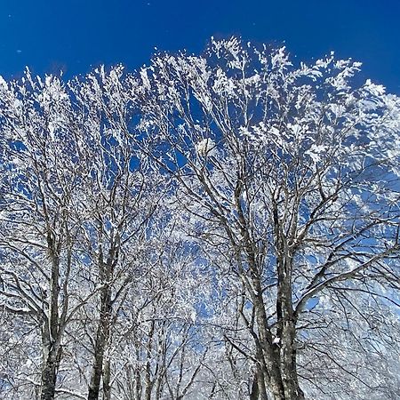 Appartamento Snow Horizon Hakuba Esterno foto